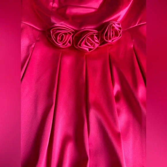 Gorgeous Barbie Pink Silk Bubble Dress with Rose Accents, size 9 - Picture 4 of 5